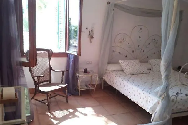 Apartament Alba *